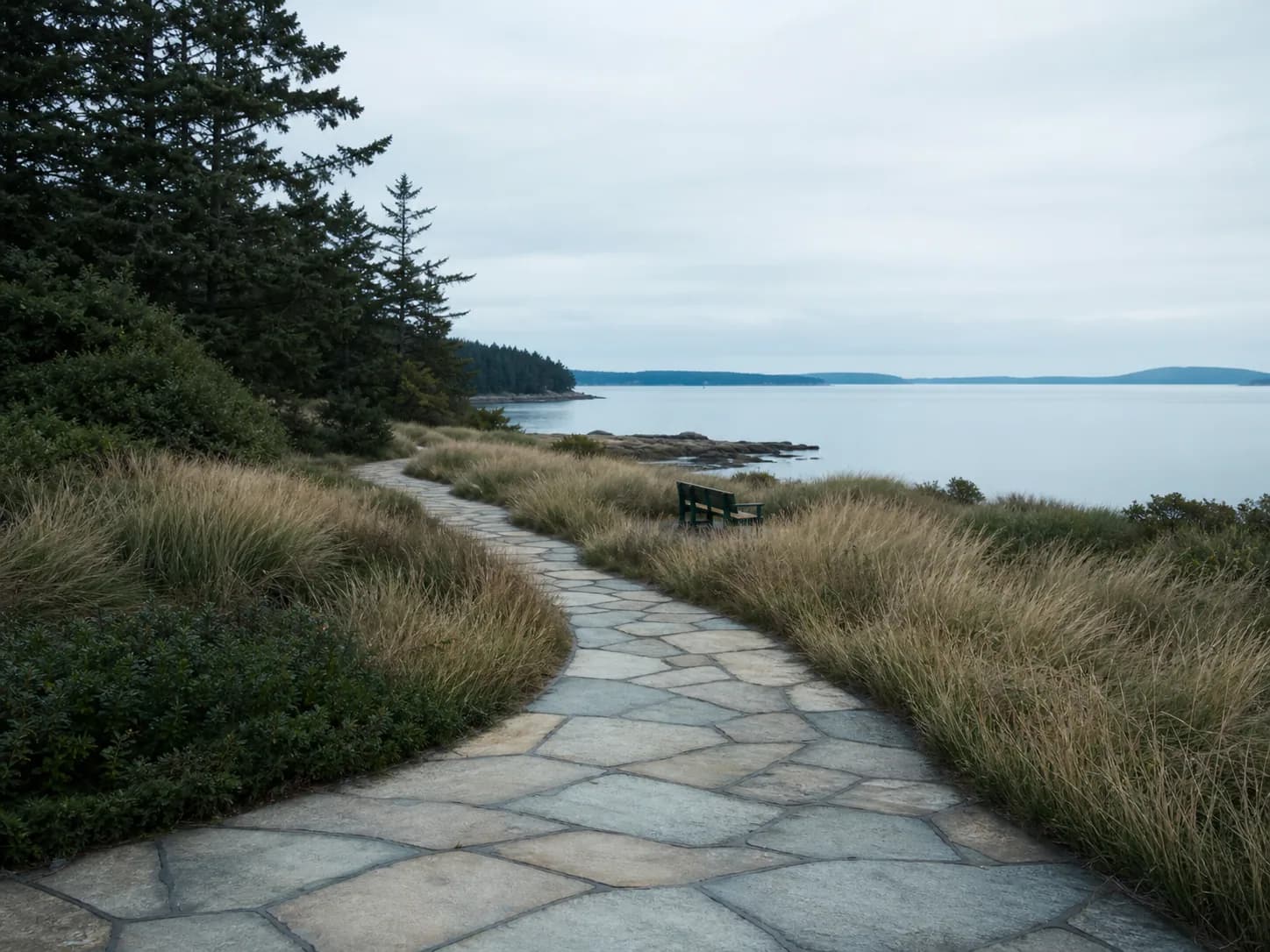 A quiet coastal path viewed through soft morning light
